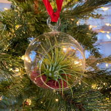 Load image into Gallery viewer, Air Plant Ornament Gift Box