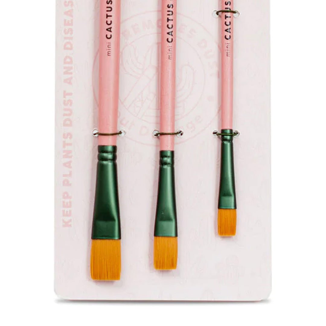 Cactus Cleaning Brushes – Succulent-Plants.com