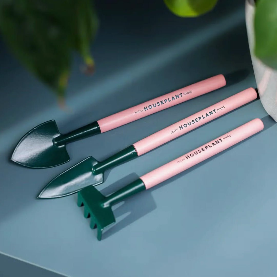 Mini Houseplant Tools – Succulent-Plants.com