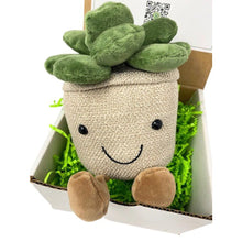 Load image into Gallery viewer, Succulent Buddy Gift Box - Succulent-Plants.com