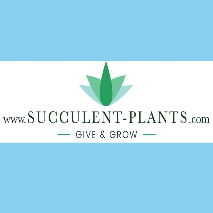 Welcome To Our Online Store!