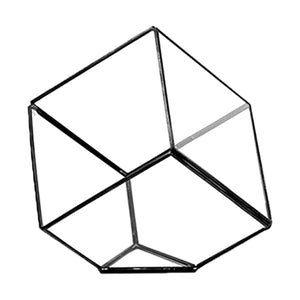 8.5" Tilted Terrarium Glass Geometric Cube in Black - Succulent-Plants.com