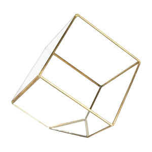 8.5" Tilted Terrarium Glass Geometric Cube in Gold - Succulent-Plants.com