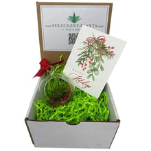 Load image into Gallery viewer, Air Plant Ornament Gift Box - Succulent-Plants.com
