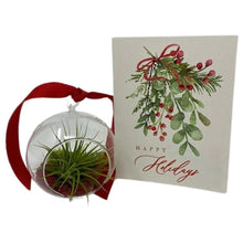 Load image into Gallery viewer, Air Plant Ornament Gift Box - Succulent-Plants.com
