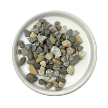 Load image into Gallery viewer, Bagged Decorative Pebbles - Grey - Succulent-Plants.com
