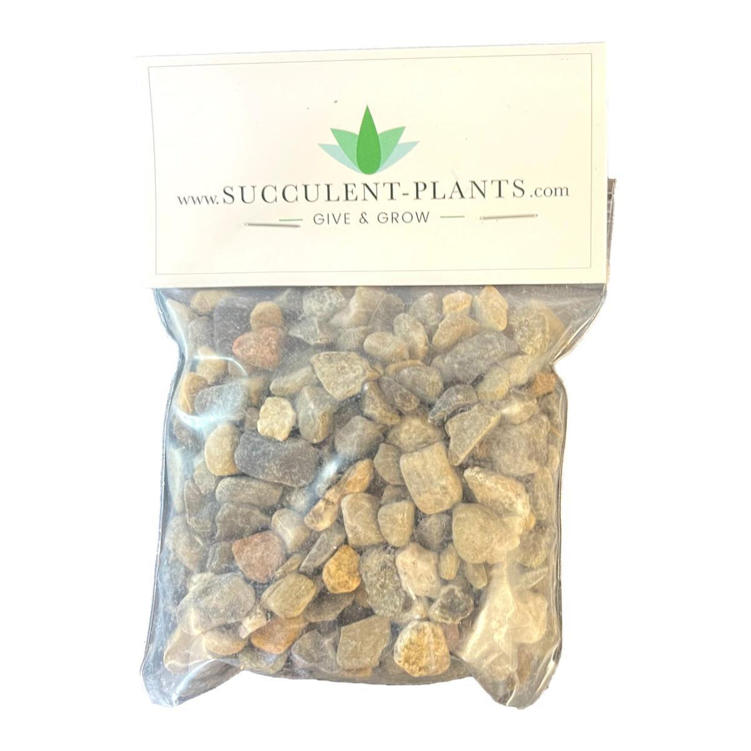 Bagged Decorative Pebbles - Grey - Succulent-Plants.com