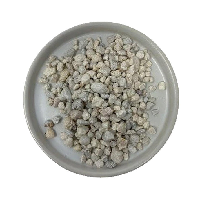 Bagged Decorative Pebbles- White - Succulent-Plants.com