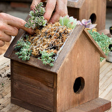 Load image into Gallery viewer, Bagged Premium Sphagnum Moss - Natural - Succulent-Plants.com
