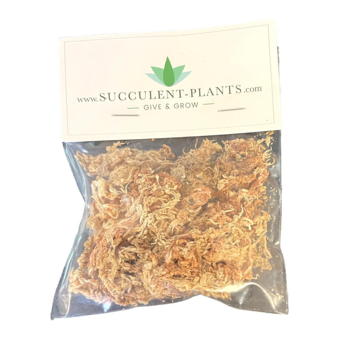 Bagged Premium Sphagnum Moss - Natural - Succulent-Plants.com