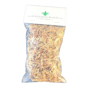 Bagged Premium Sphagnum Moss - Natural - Succulent-Plants.com