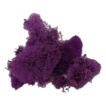 Load image into Gallery viewer, Bagged Reindeer Moss (Multiple Colors)
