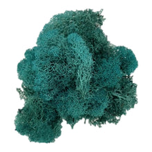 Load image into Gallery viewer, Bagged Reindeer Moss (Multiple Colors)
