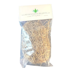 Bagged Spanish Moss Dried - Natural Grey - Succulent-Plants.com