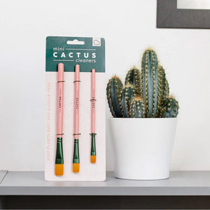 Cactus Cleaning Brushes - Succulent-Plants.com