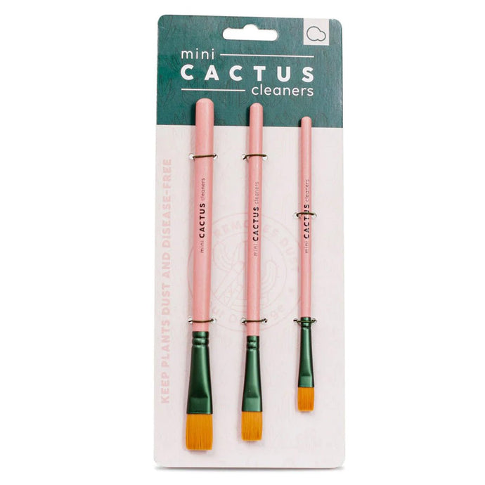 Cactus Cleaning Brushes - Succulent-Plants.com