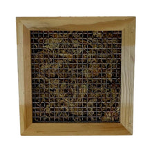 Load image into Gallery viewer, DIY Kit - Succulent - 6&quot; Wood &amp; Moss Living Frame - Succulent-Plants.com
