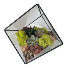 Load image into Gallery viewer, DIY Kit - Succulent - 8.5&quot; Terrarium Glass Geometric Cube - Succulent-Plants.com
