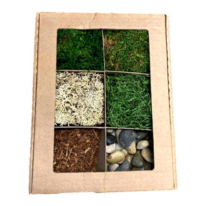 Forrest Terrarium Kit - Succulent-Plants.com