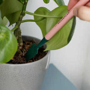 Mini Houseplant Tools - Succulent-Plants.com