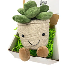 Load image into Gallery viewer, Succulent Buddy Gift Box - Succulent-Plants.com
