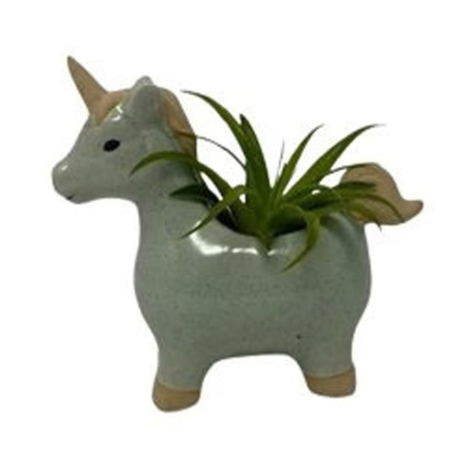 Unicorn Planter With Air Plant - Succulent-Plants.com