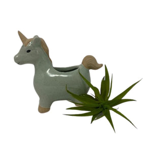 Unicorn Planter With Air Plant - Succulent-Plants.com